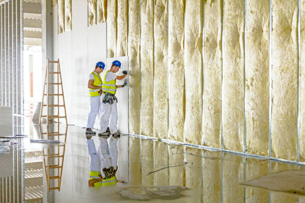 Best Cellulose Insulation  in Woodbourne, PA